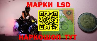 стаф Бузулук