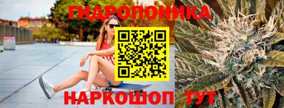стаф Бузулук